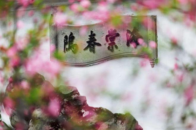 一眼沦陷！藏在拙政园里的宝藏小天地